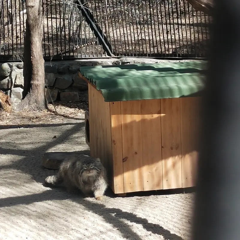 A photograph of Leon in Novosibirsk Zoo