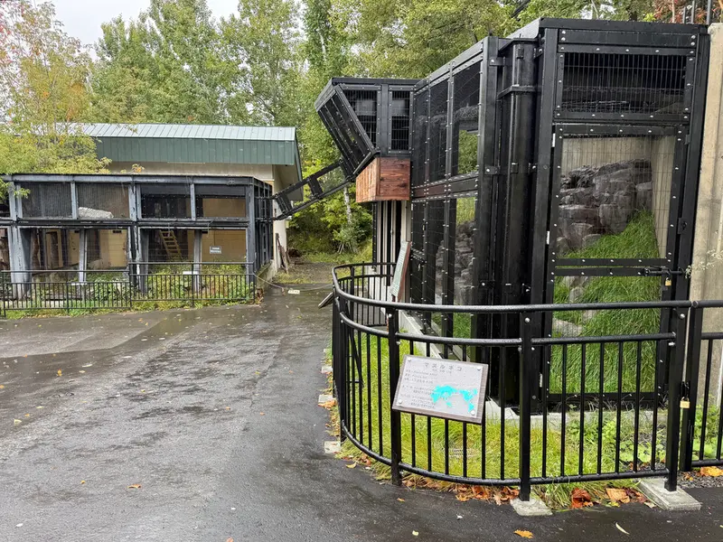 A photograph of Grusha and Hide in Asahiyama Zoo
