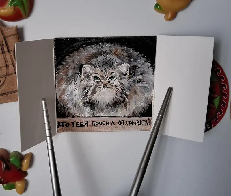 A photograph of a Pallas's cat