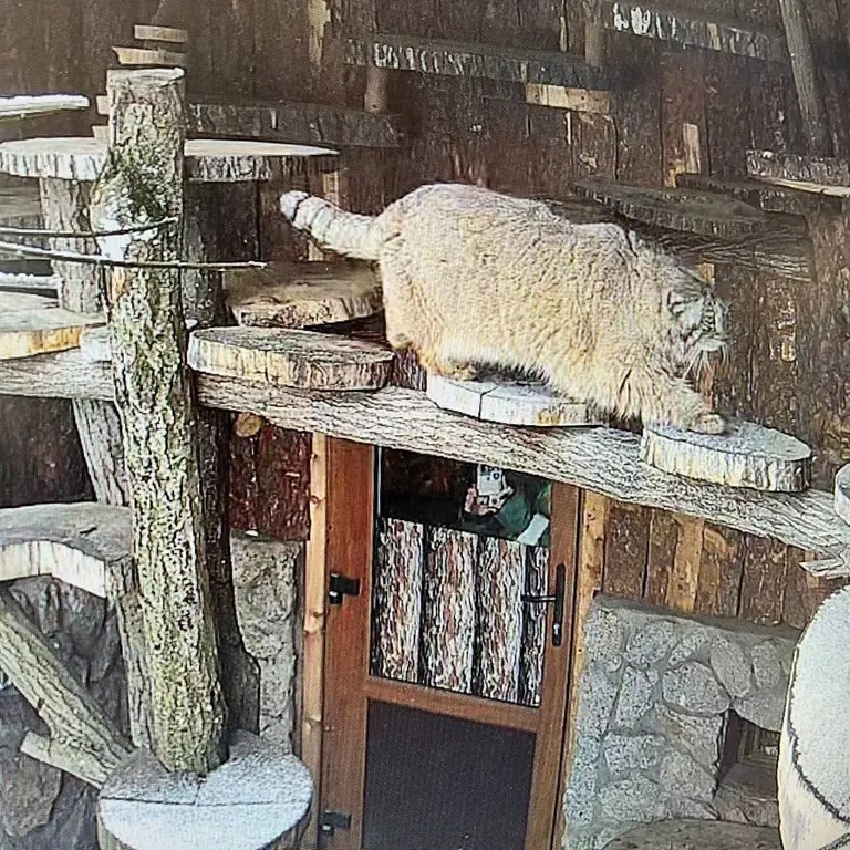 A photograph of Pepe in Leningrad zoo