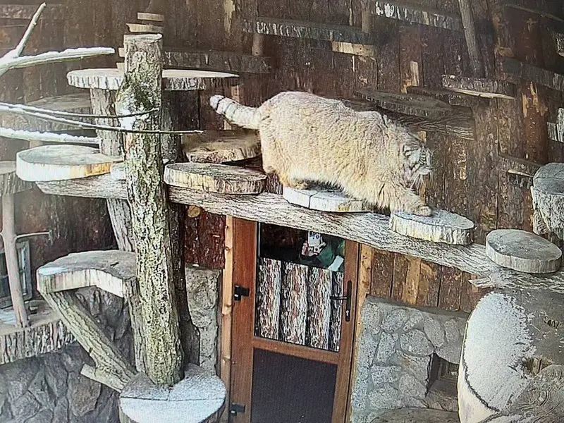 A photograph of Pepe in Leningrad zoo