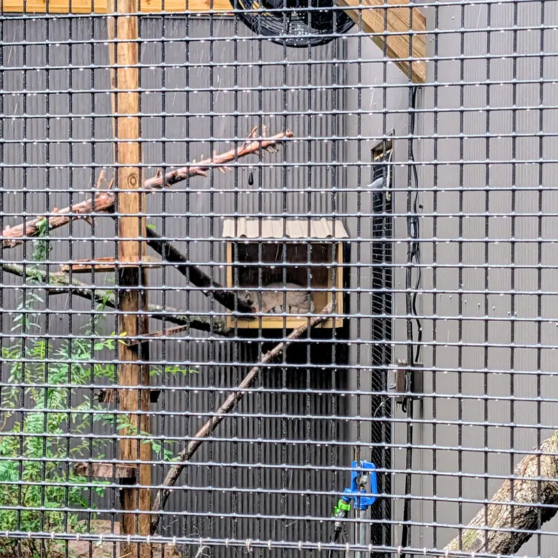 A photograph of Kasper in Elmwood Park Zoo