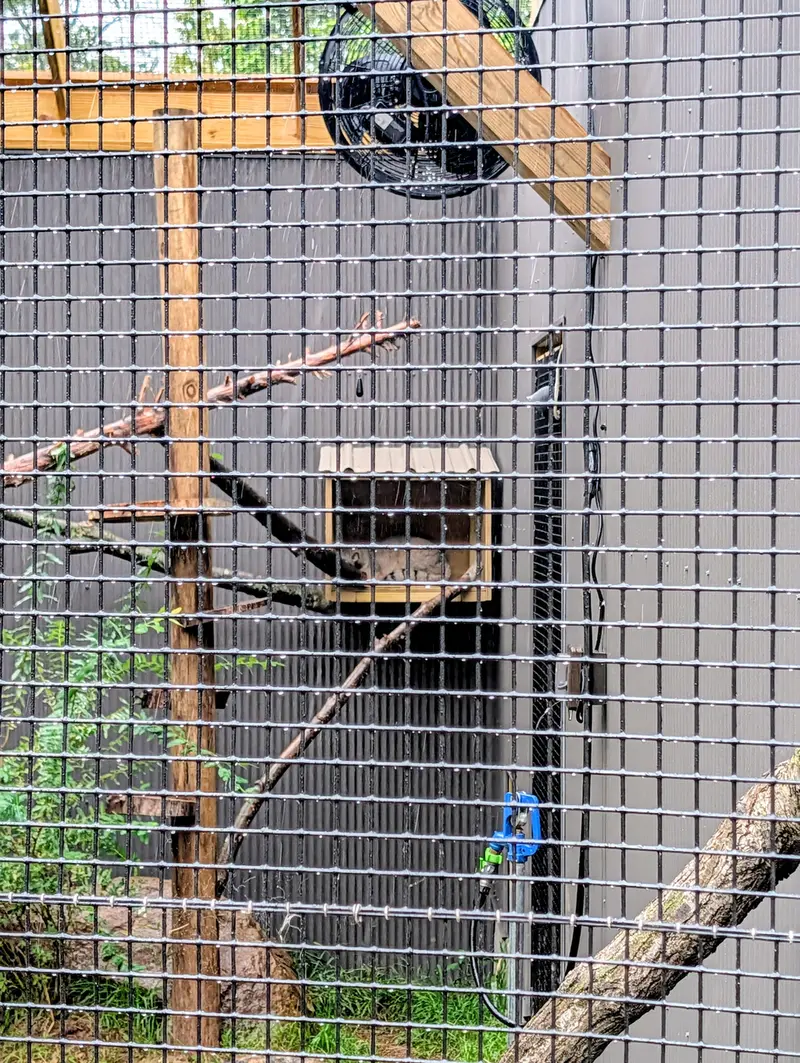 A photograph of Kasper in Elmwood Park Zoo