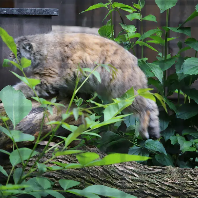 A photograph of Jessie in Warsaw Zoo