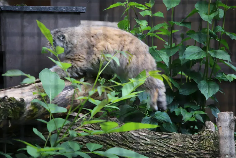 A photograph of Jessie in Warsaw Zoo