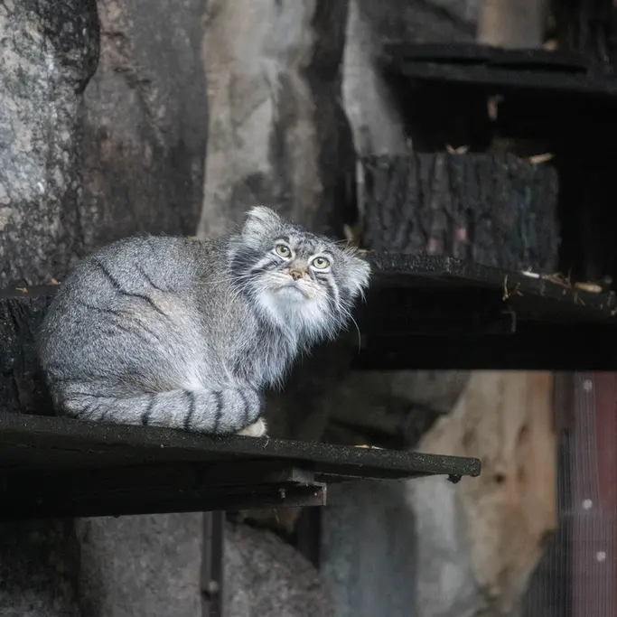 A photograph of Timofey in Moscow zoo