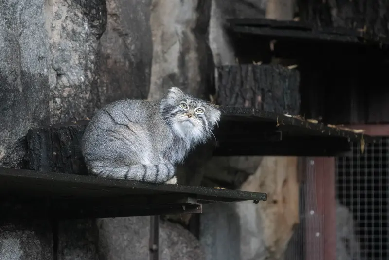 A photograph of Timofey in Moscow zoo