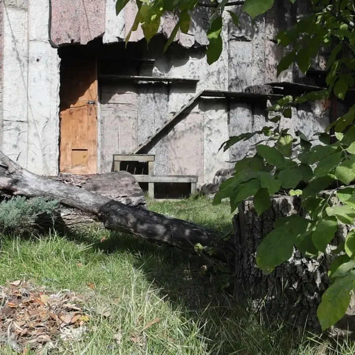 A photograph of Timofey in Moscow zoo