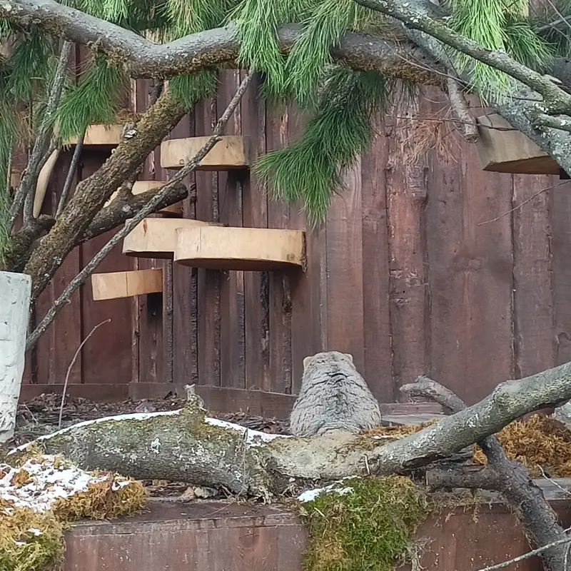 A photograph of Boris in Royev Ruchey