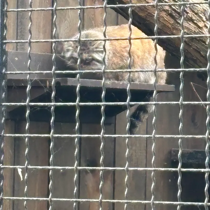 A photograph of Jessie in Warsaw Zoo