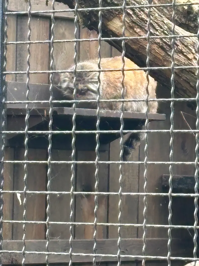 A photograph of Jessie in Warsaw Zoo