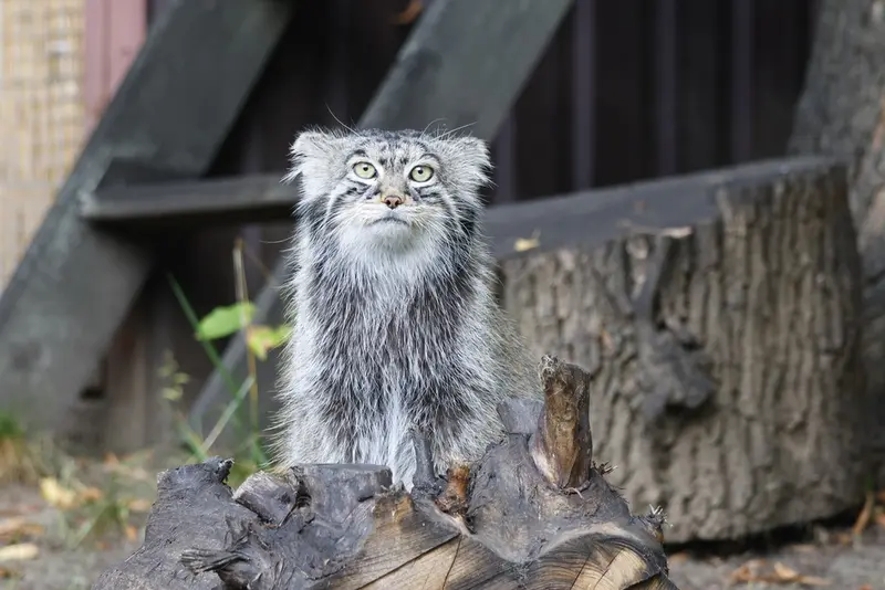 A photograph of Timofey in Moscow zoo