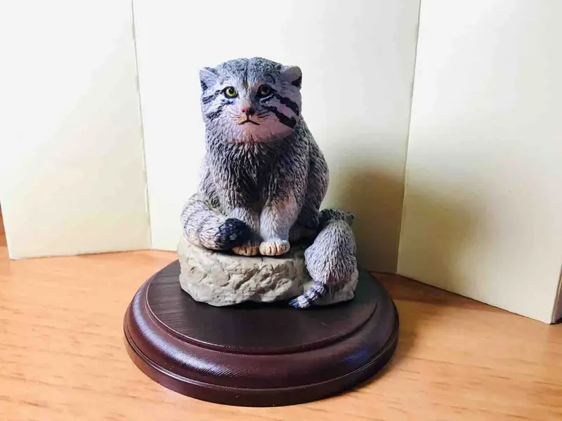 A photograph of a Pallas's cat