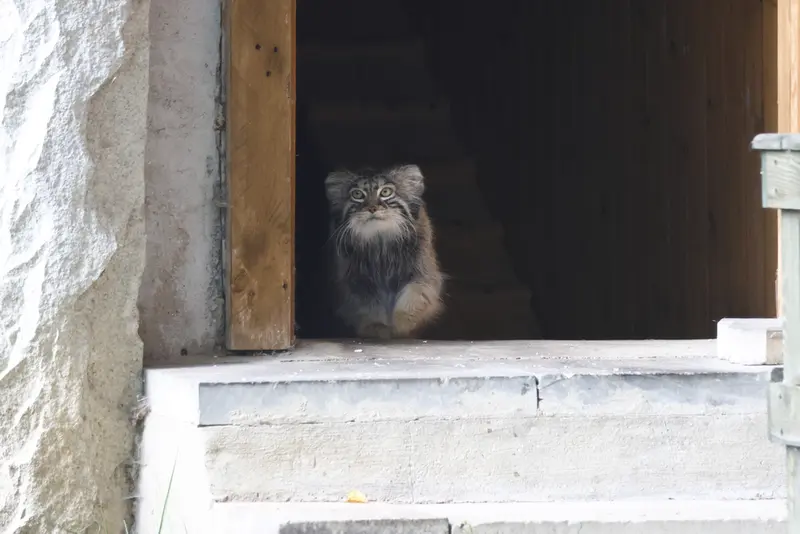 A photograph of Timofey in Moscow zoo