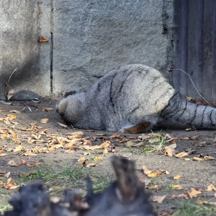 A photograph of Timofey in Moscow zoo