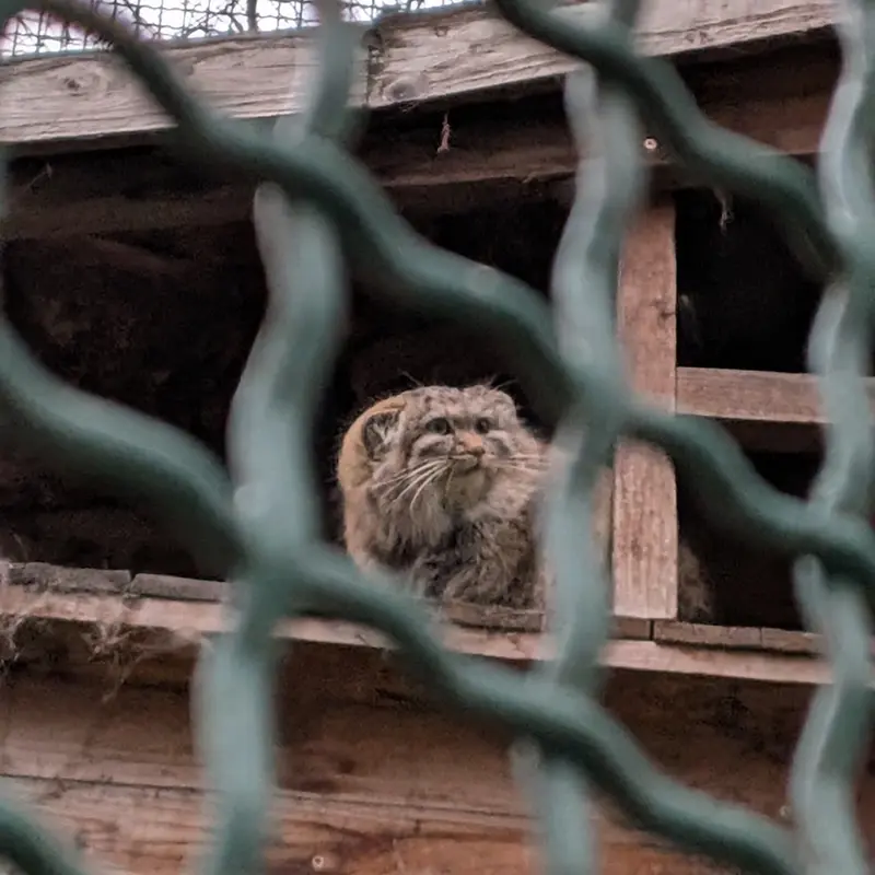 A photograph of Lucy in Budapest Zoo &amp; Botanical Garden