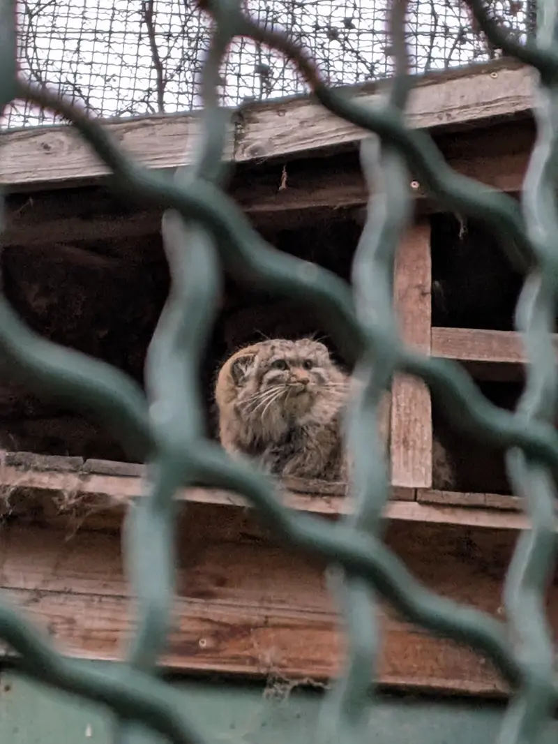 A photograph of Lucy in Budapest Zoo &amp; Botanical Garden