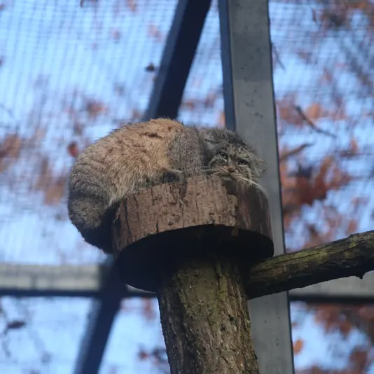 A photograph of Manuel in Gdansk Zoo