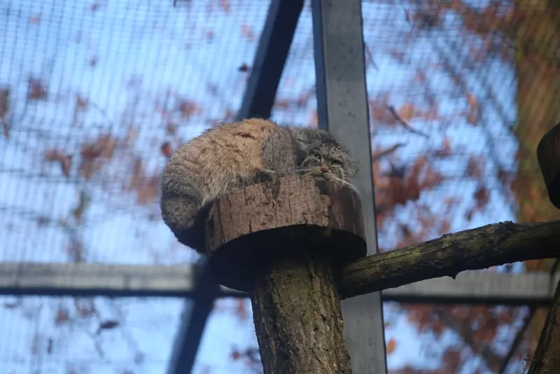 A photograph of Manuel in Gdansk Zoo