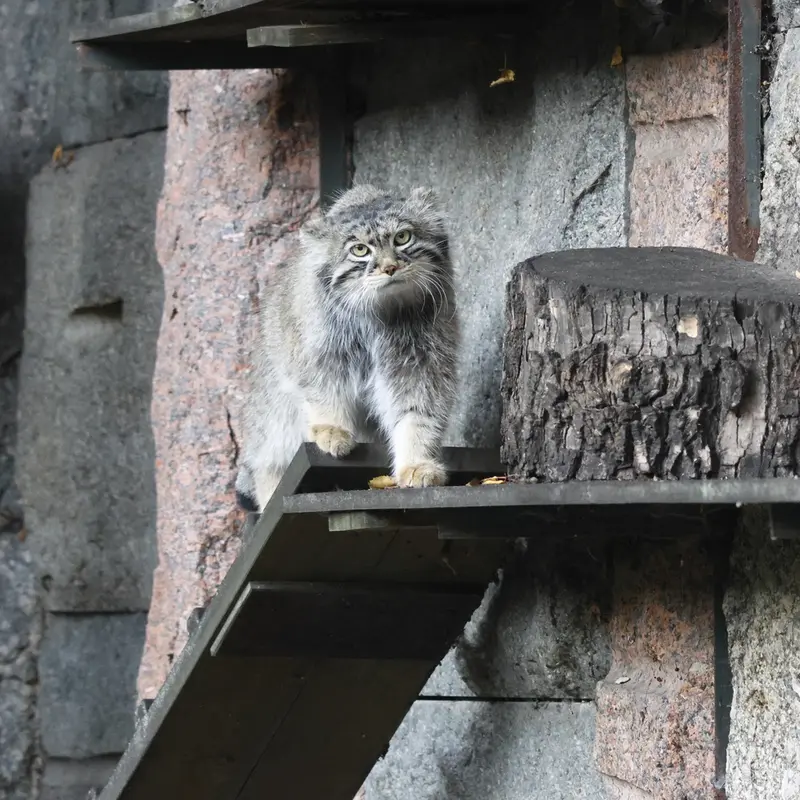 A photograph of Timofey in Moscow zoo