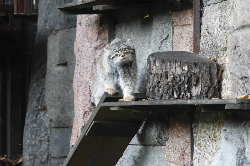 A photograph of Timofey in Moscow zoo
