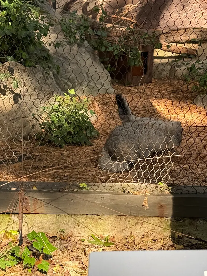 A photograph of Sarnai and Batu in Prospect Park Zoo