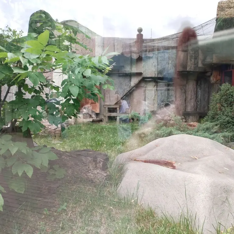 A photograph of Timofey in Moscow zoo
