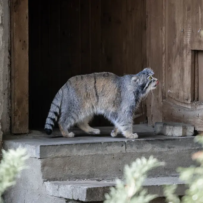 A photograph of Timofey in Moscow zoo