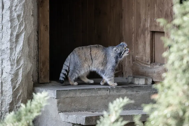 A photograph of Timofey in Moscow zoo
