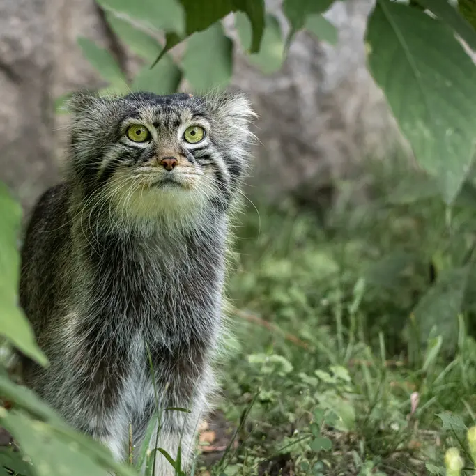 A photograph of Timofey in Moscow zoo