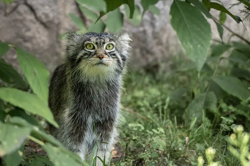 A photograph of Timofey in Moscow zoo