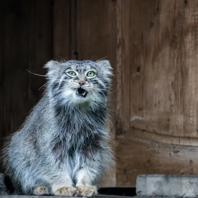 A photograph of Timofey in Moscow zoo