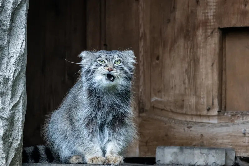 A photograph of Timofey in Moscow zoo