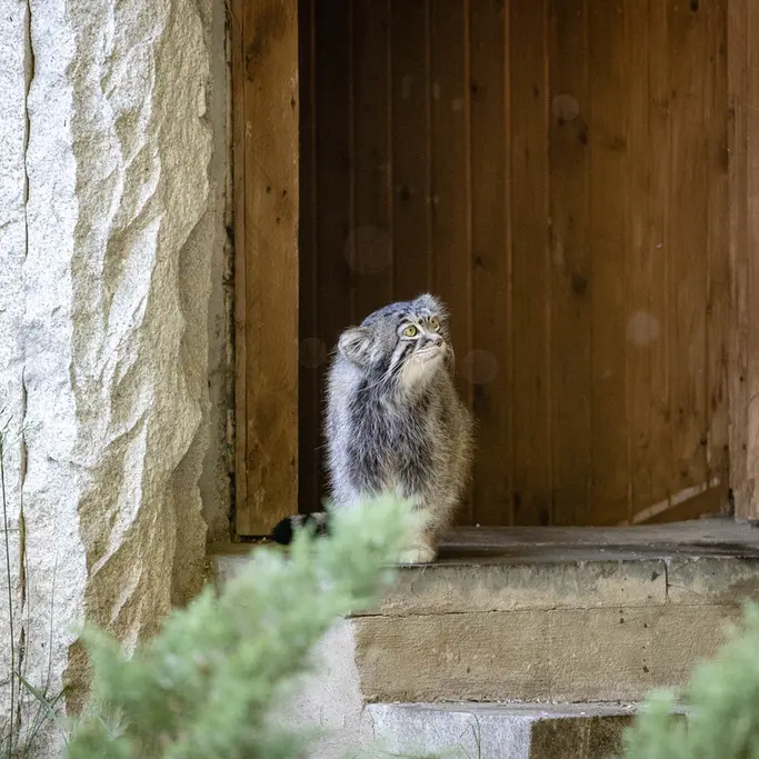 A photograph of Timofey in Moscow zoo