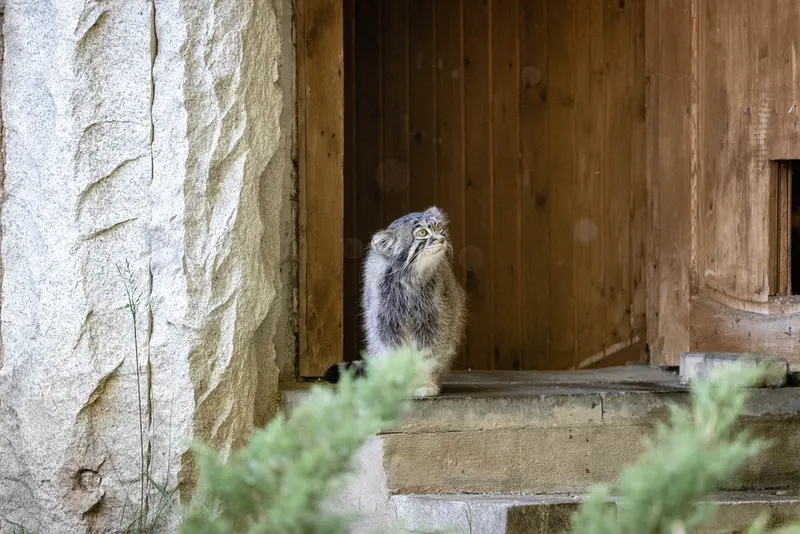 A photograph of Timofey in Moscow zoo