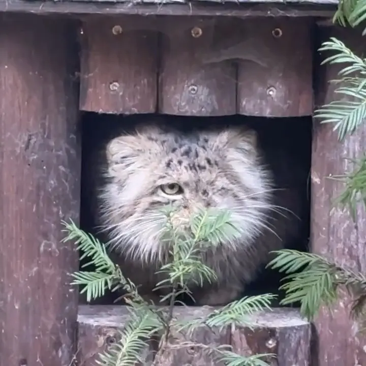 A photograph of Bozenka in Poznan New Zoo
