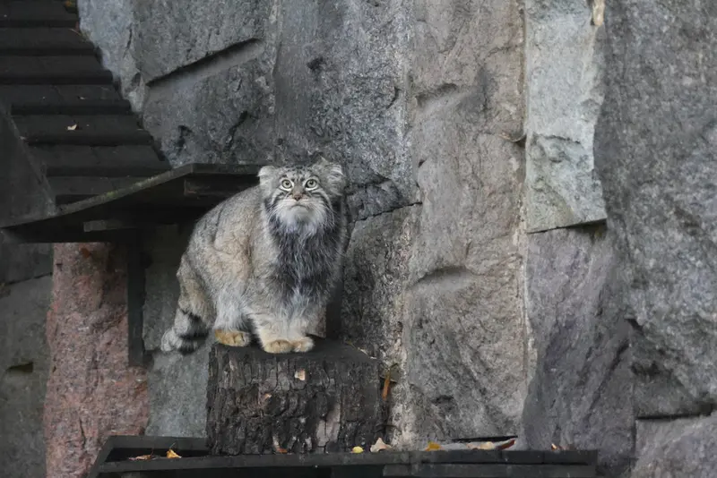A photograph of Timofey in Moscow zoo