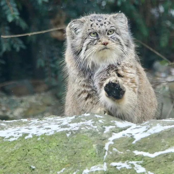 A photograph of Moira in Ostrava Zoo