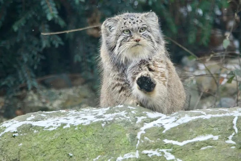 A photograph of Moira in Ostrava Zoo