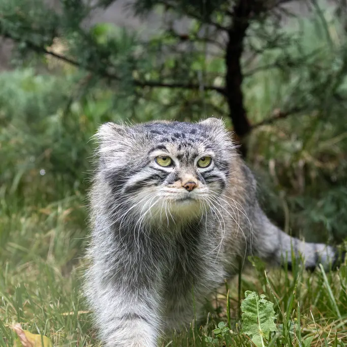 A photograph of Timofey in Moscow zoo