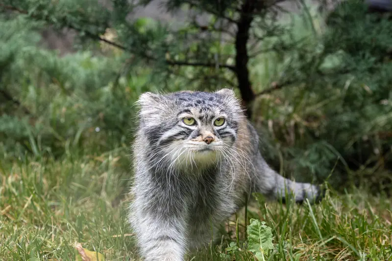 A photograph of Timofey in Moscow zoo
