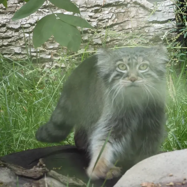 A photograph of Timofey in Moscow zoo