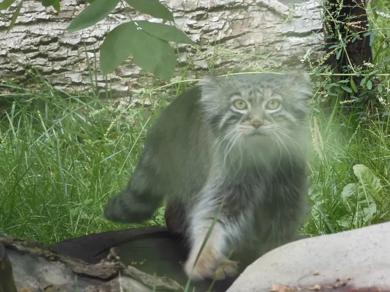 A photograph of Timofey in Moscow zoo