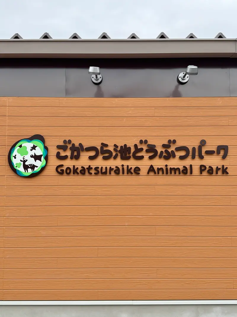A photograph of a Pallas's cat in Gokatsuraike Animal Park