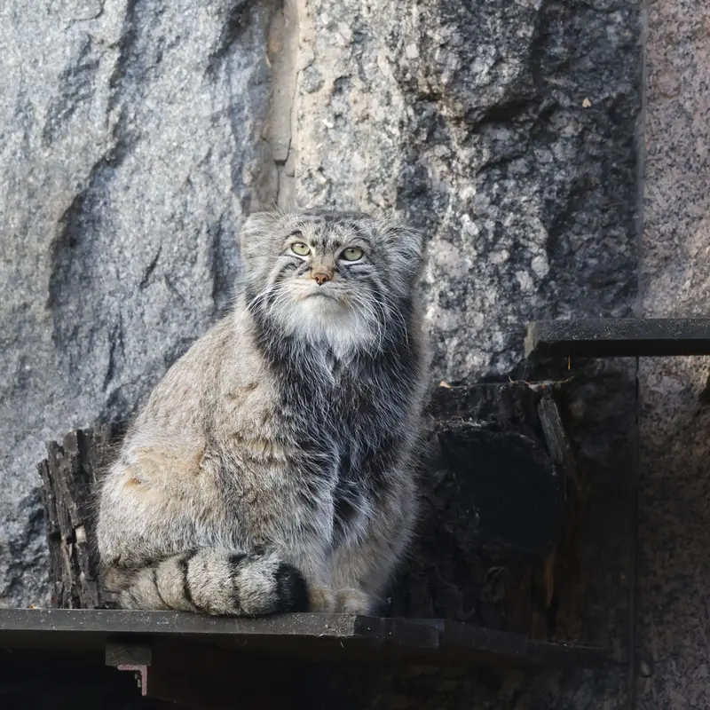 A photograph of Timofey in Moscow zoo