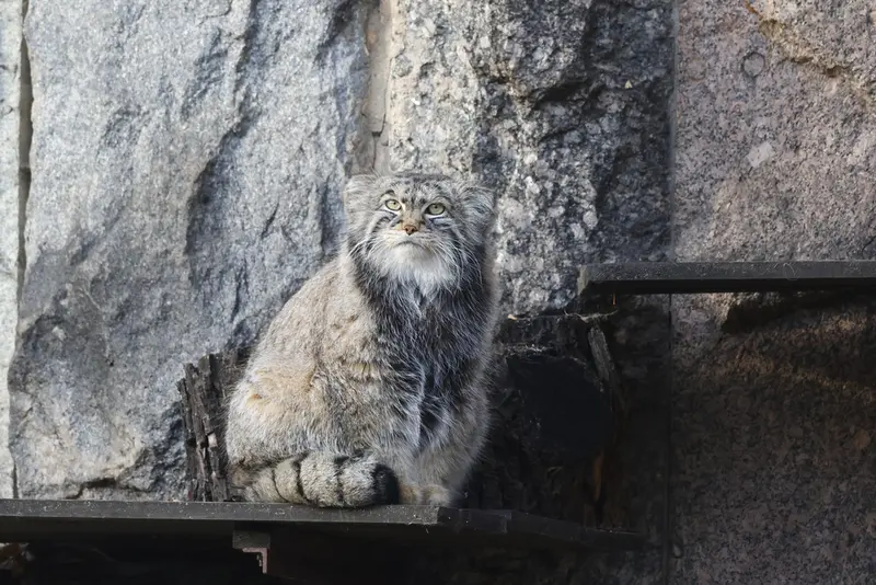 A photograph of Timofey in Moscow zoo