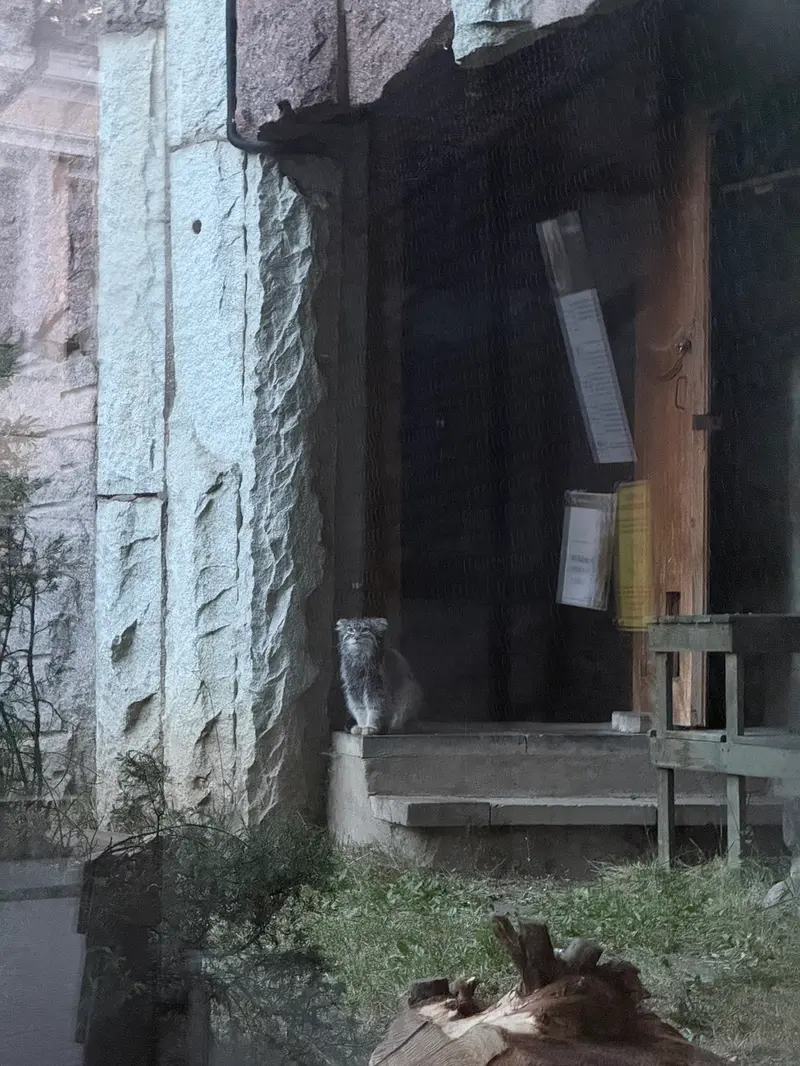 A photograph of Timofey in Moscow zoo