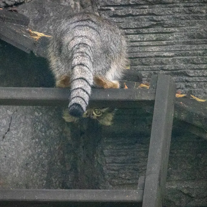 A photograph of Timofey in Moscow zoo