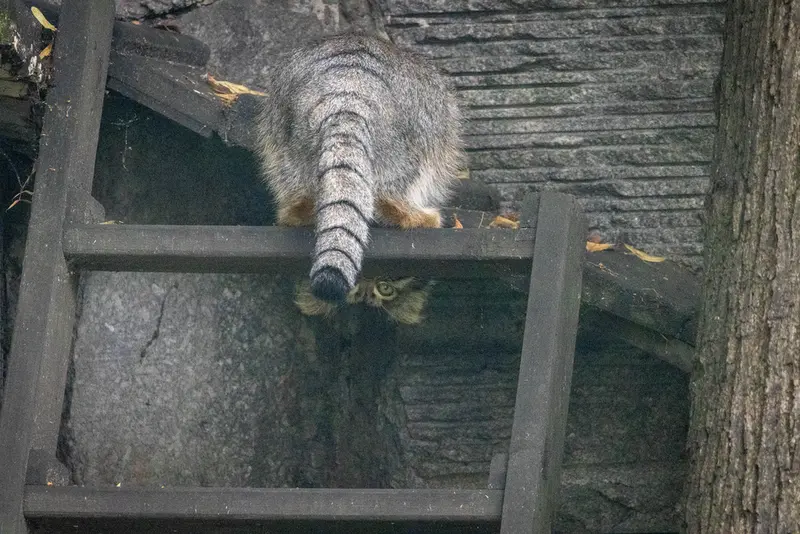 A photograph of Timofey in Moscow zoo