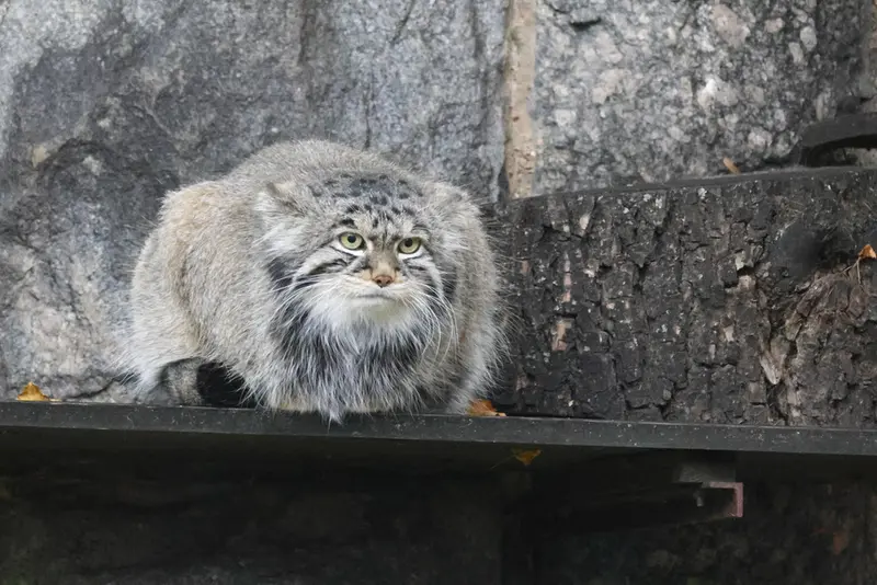 A photograph of Timofey in Moscow zoo